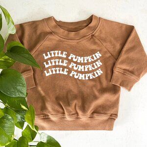 NWT Organic Cotton Pumpkin Pullover baby and toddler